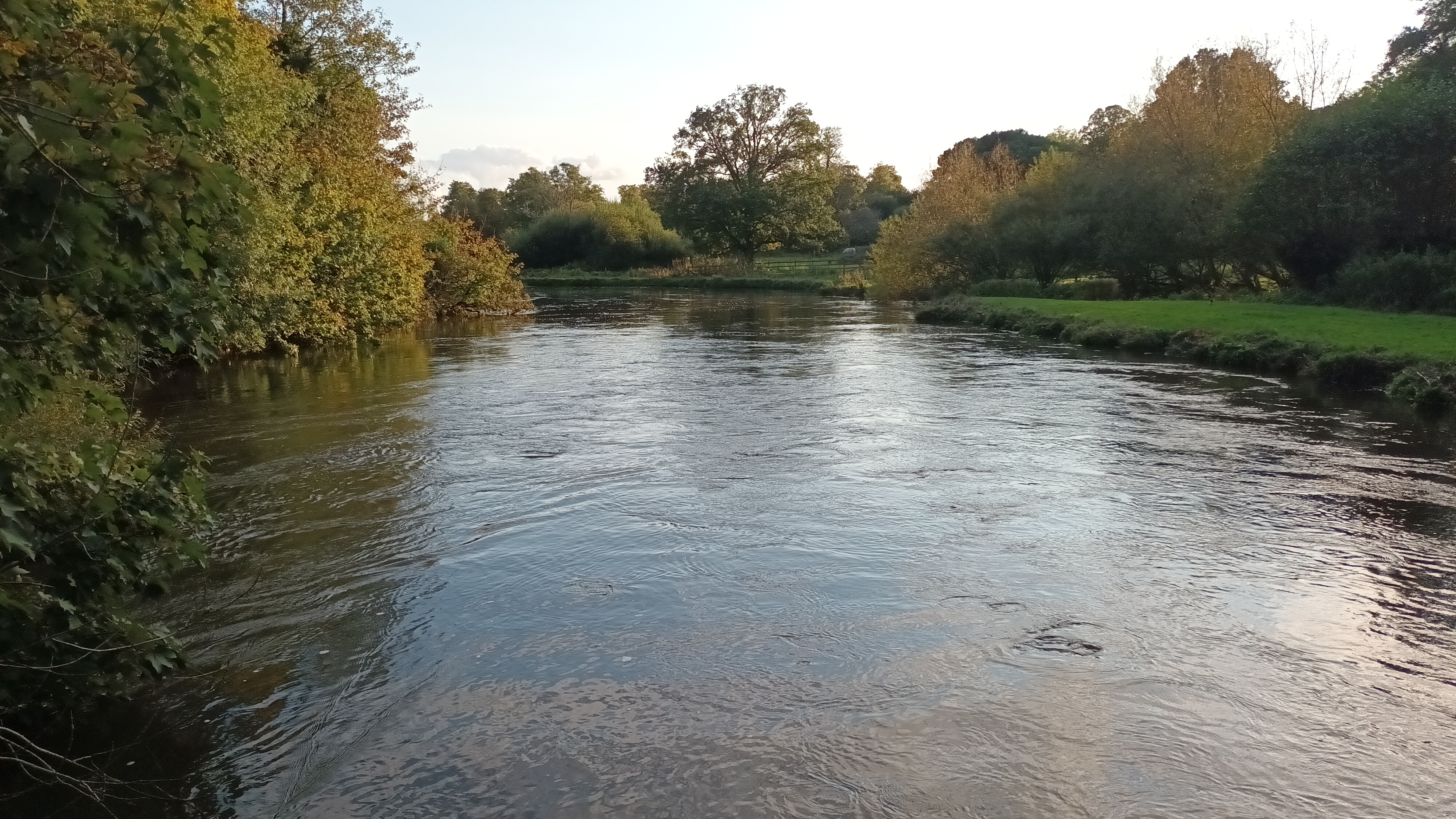 Enhanced Rock Weathering in rivers